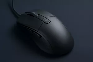 Souris noire