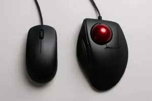 Souris et trackball